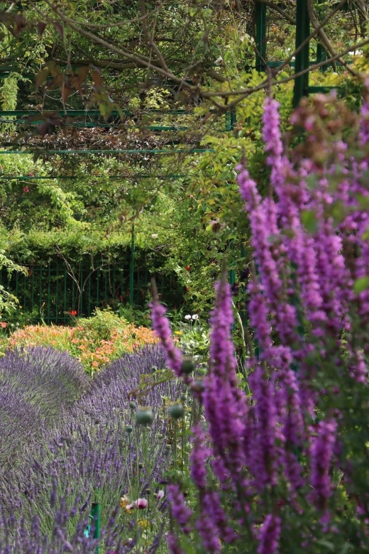 Giverny Private Guided Walking Tour - Why Monet’s Giverny Garden Feels Different From a Usual Sightseeing Stop