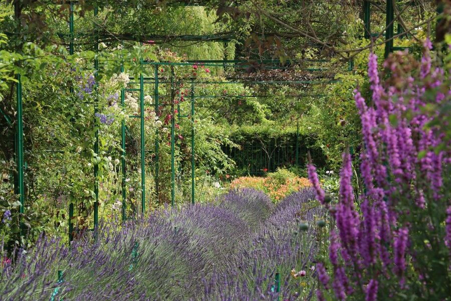 Giverny Private Guided Walking Tour - Price and Value: $353 Per Group Up to 15