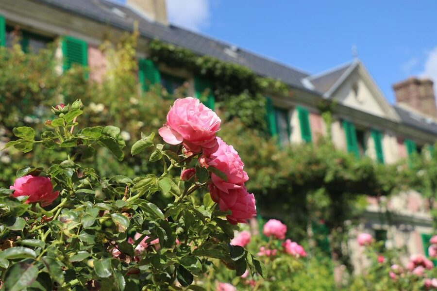 Giverny Private Guided Walking Tour - Your 2-Hour Walk Plan Around Monet House and the Gardens