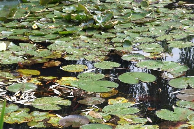 Giverny Small-Group Minivan with Hotel Pickup or Meeting Point - Price and Value: Is $163.26 Per Person Fair?