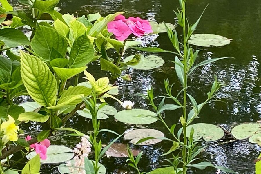 Giverny Versailles Trianon Small Group by Minivan from Paris - Price and value: what you are paying for in this $347 day
