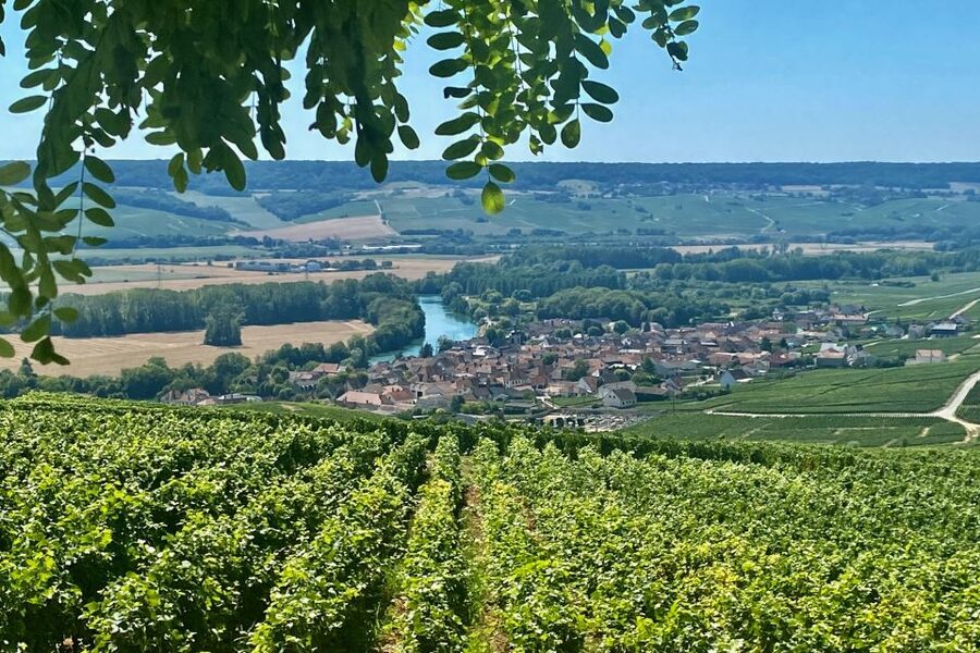 Grand Vintage Private Champagne Moet Chandon Veuve Clicquot - Hautvillers: viewpoint photos, the Abbey of Saint-Pierre dHautvillers, and Dom Pérignon