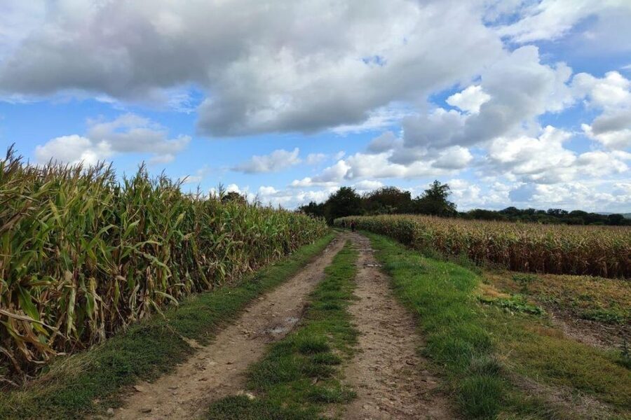 Hiking Adventure in Van Gogh's footsteps (6 miles walk) - Why Van Gogh’s last days feel close in Auvers-sur-Oise
