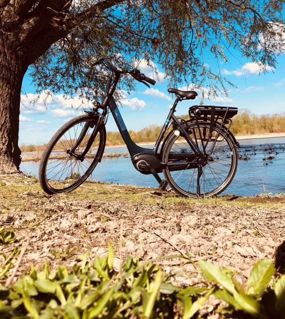 Loire castles with electric bicycle - Key Highlights You Will Feel on This Ride