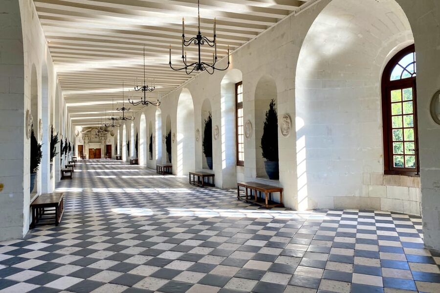 Loire Valley Royal Castles Small Group Day Trip from Paris - Château de Chenonceau: the ladies’ castle and those river arches