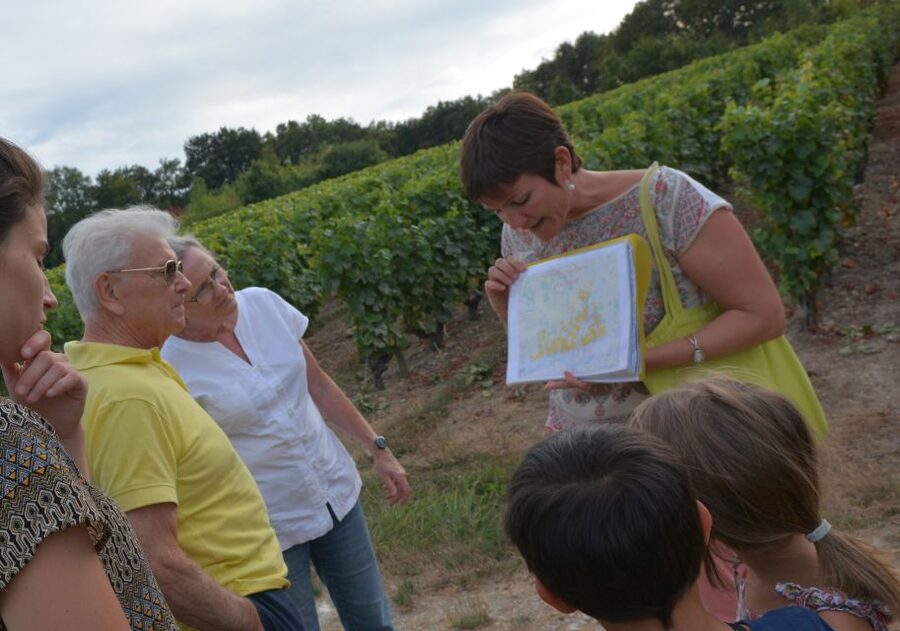 Loire Valley: Vouvray Vineyard Tour and Wine Tasting - Why Vouvray vineyards and limestone cellars matter