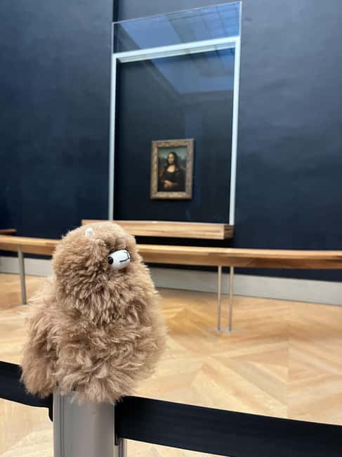 Louvre Museum Entry Ticket and Private Guided Tour - Why a private guide matters at the Louvre, especially for the Mona Lisa
