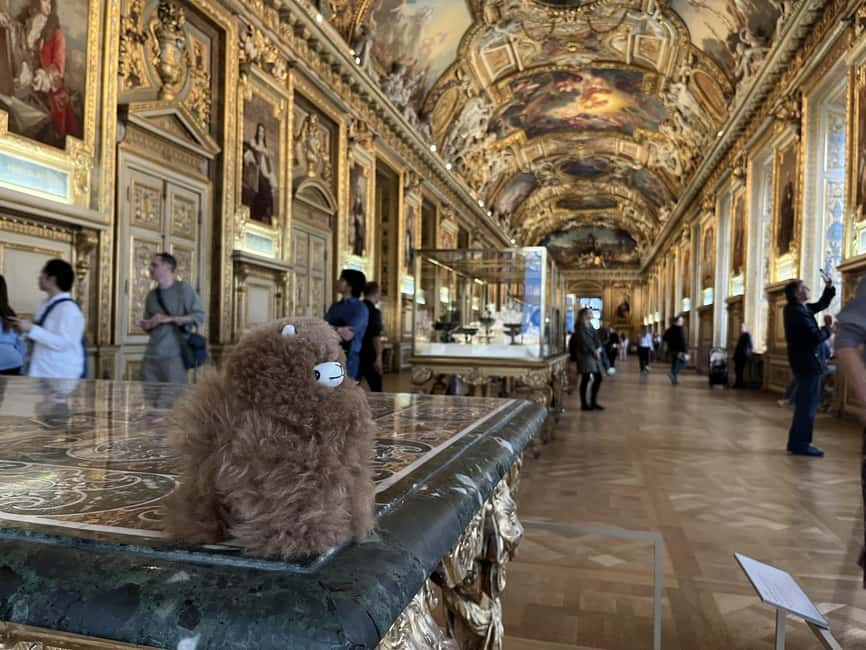 Louvre Museum Entry Ticket and Private Guided Tour - Photo rules and bag limits, so you do not lose time inside