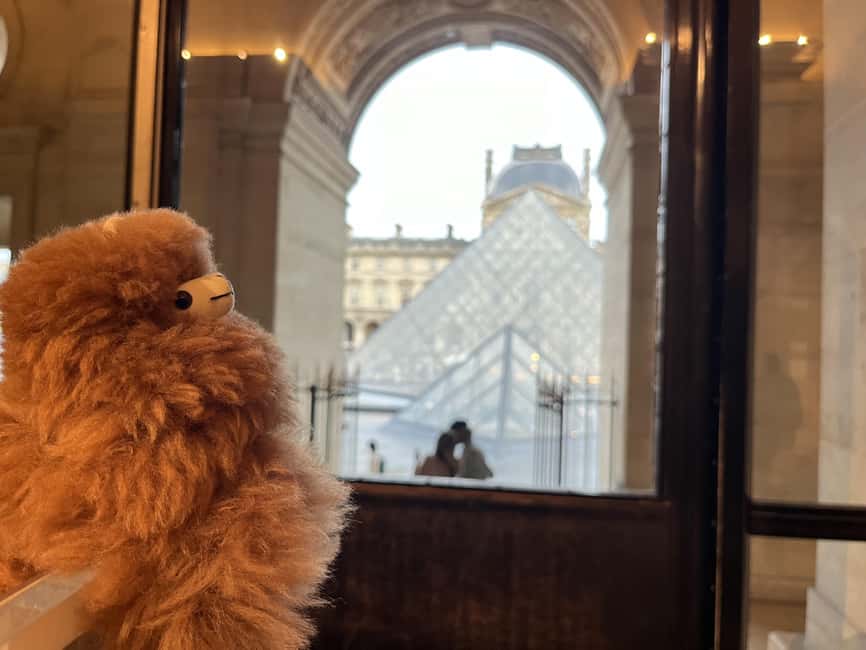 Louvre Museum Entry Ticket and Private Guided Tour - Wheelchair access: what the tour does and does not solve