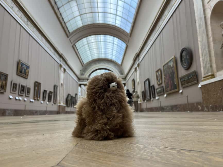 Louvre Museum Entry Ticket and Private Guided Tour - Meeting Mr. Lama Leonardo and getting oriented without stress