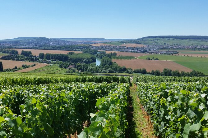 Moet et Chandon Tasting and Fun Private Tour in Champagne - Moët et Chandon Cellars: The Big-House Experience Done Well