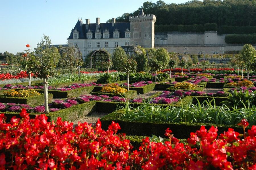 Mont Saint-Michel & Chateaux Country 3-Day Tour from Paris - Day 3 in the Loire: Chenonceau, Tintin connections at Cheverny, then Chambord