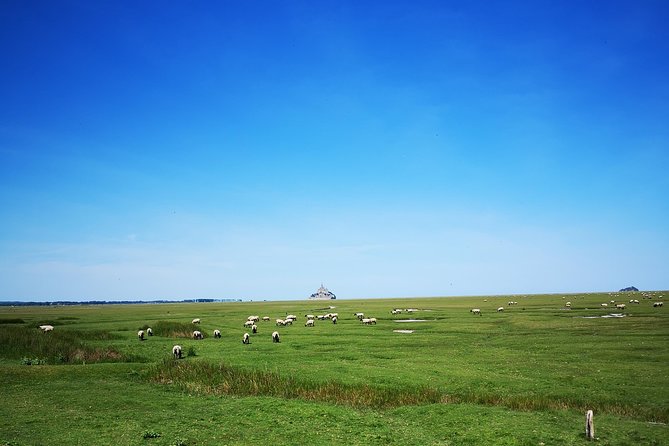 Mont Saint-Michel Day Trip from Bayeux (Shared tour) - Timing and pacing: how the day stays workable