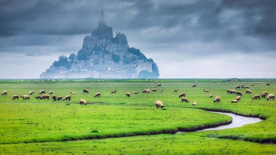 Mont Saint-Michel Small-Group Day Trip from Paris with Abbey Ticket - Paris Morning to Normandy: Why the small van matters