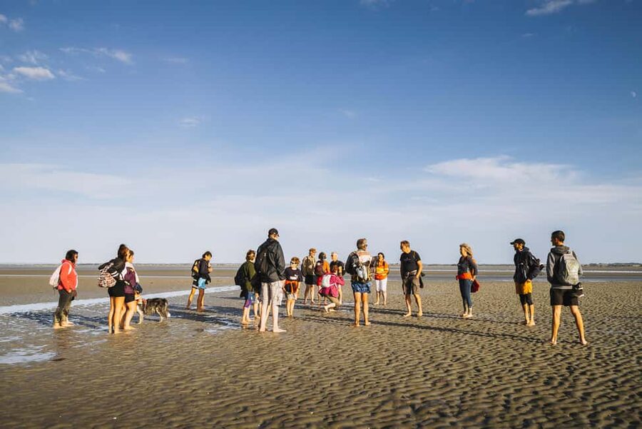 Mont-saint-Michel : Walk in the heart of the Bay - Key highlights at a glance