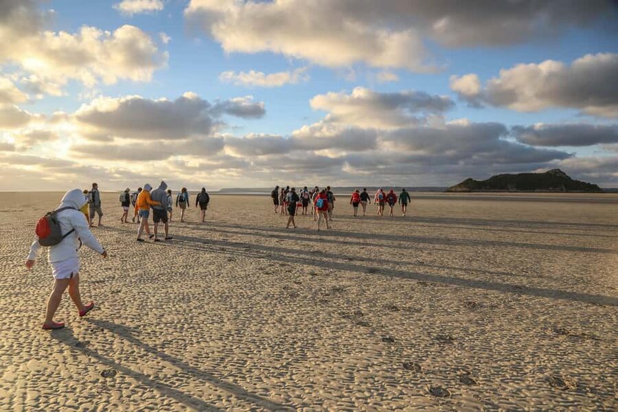 Mont-saint-Michel : Walk in the heart of the Bay - The 7 km loop: from Mont Saint-Michel toward Tombelaine