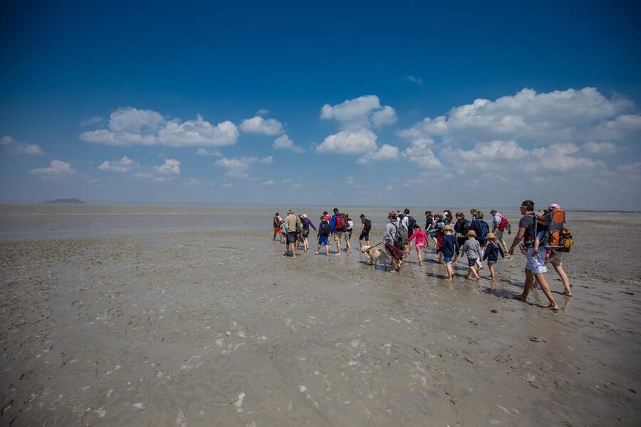 Mont Saint-Michel : Walk with an English-speaking guide - Pairing It With Your Abbey Day: How to Plan Your Route