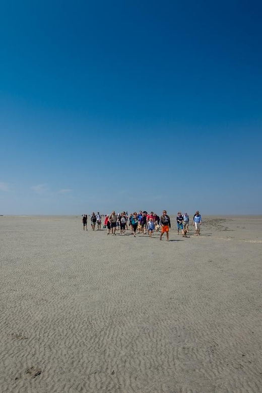 Mont Saint-Michel : Walk with an English-speaking guide - The 2.5 Hour Bay Loop: What You Actually Do Out There