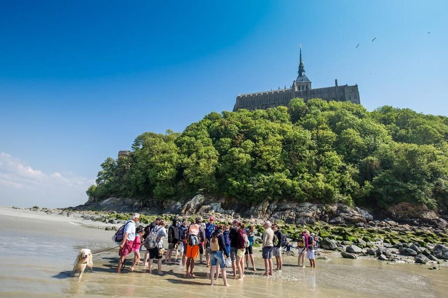 Mont Saint-Michel : Walk with an English-speaking guide - Tides, Ecosystem, and Legends Along the Way