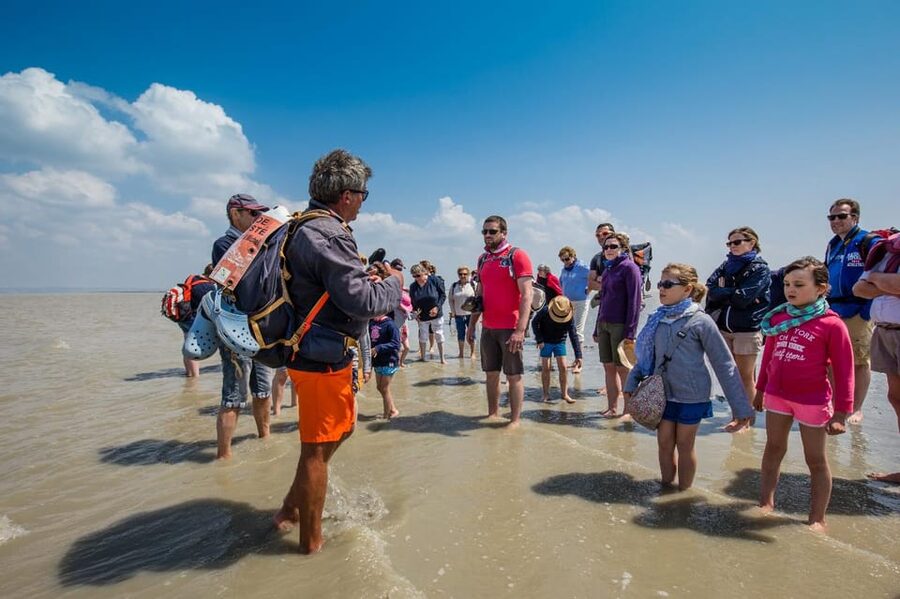 Mont Saint-Michel : Walk with an English-speaking guide - Who This Walk Is Best For (and Who Should Skip It)