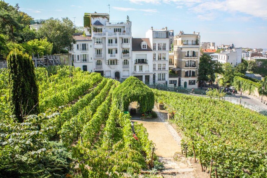 Montmartre & Sacré Coeur: 2.5-Hour Walking Tour - Key highlights at a glance