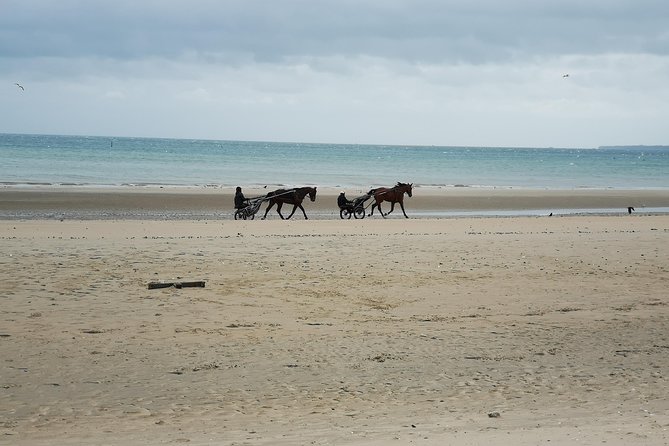 Normandy Beaches Half-Day Afternoon Trip from Bayeux (A2) - Normandy American Cemetery and Visitor Center: walk, then learn