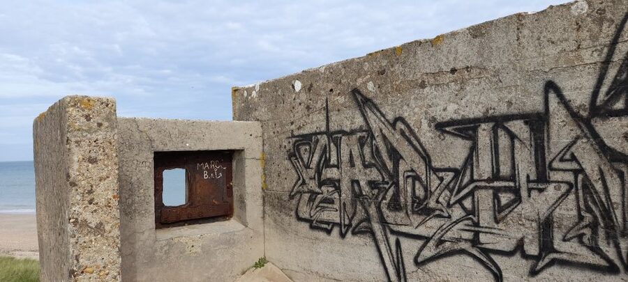 Normandy D-Day Beaches Private Tour US sector from Caen - Key highlights you should plan around