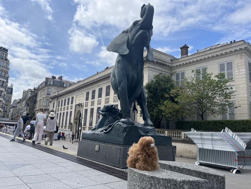 Orsay Museum: Museum Ticket Entry & 2h Private Guided Tour - What a 2 to 3 hour private guide actually does for you