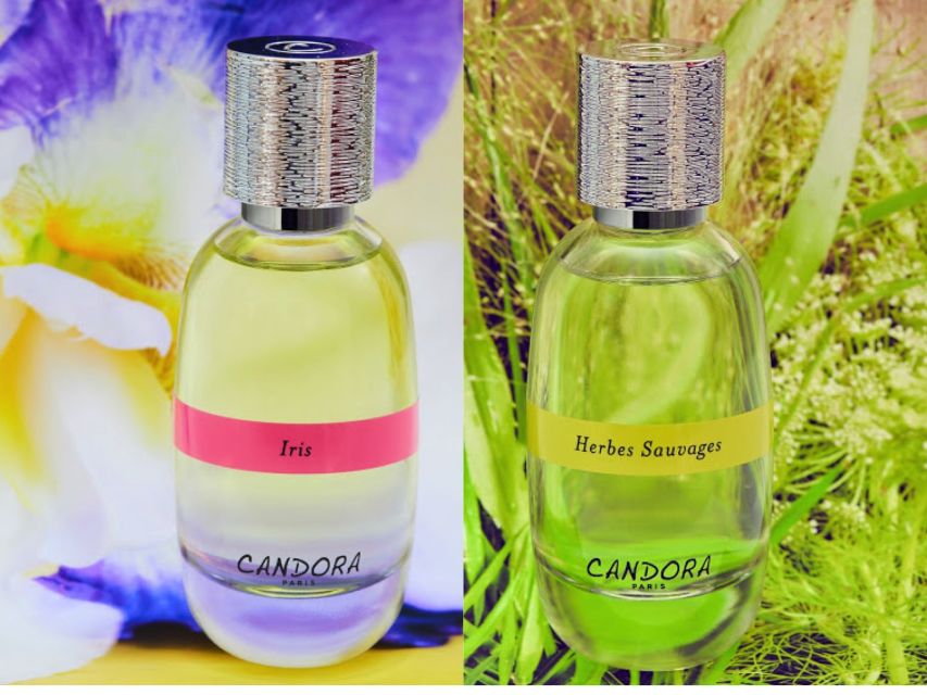 Paris: 2-Hour Perfume Creation Workshop - Where it happens: near Île Saint Louis, but check your exact door