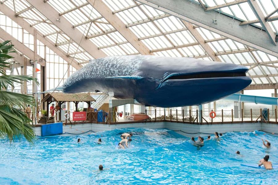 Paris: Aquaboulevard Water Park Entrance Ticket - Swimwear rules at the door can make or break your plans