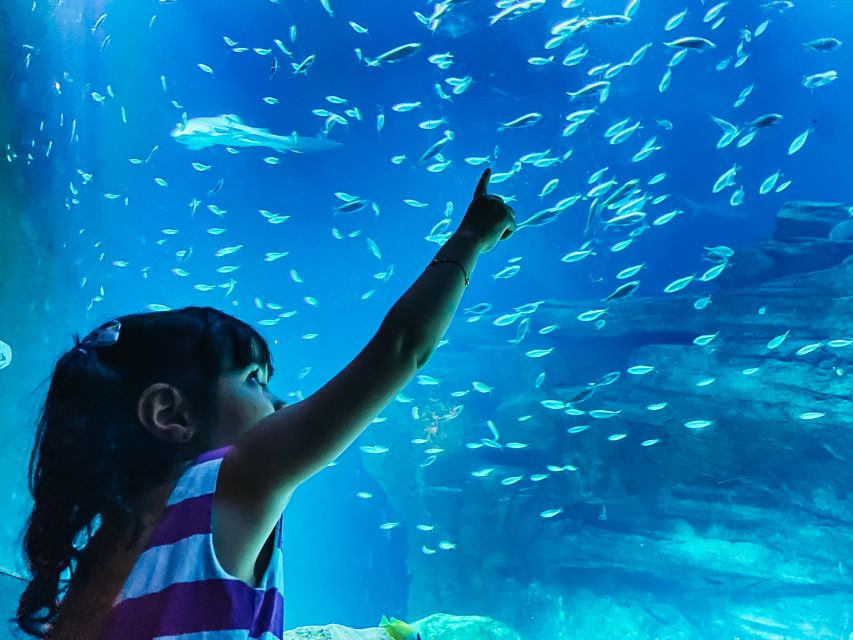 Paris: Aquarium de Paris Entrance Ticket - Key things I think are worth your attention