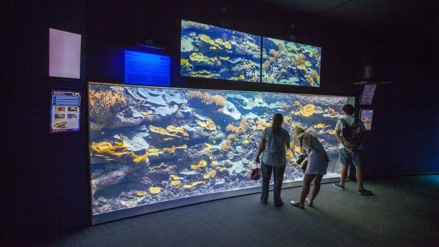 Paris: Aquarium de Paris Entrance Ticket - Practical tips for an easier visit (water, tickets, and your timing)