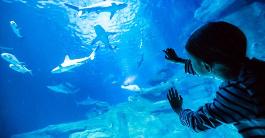 Paris: Aquarium de Paris Entrance Ticket - Aquarium de Paris near Trocadéro: what you really get for your money