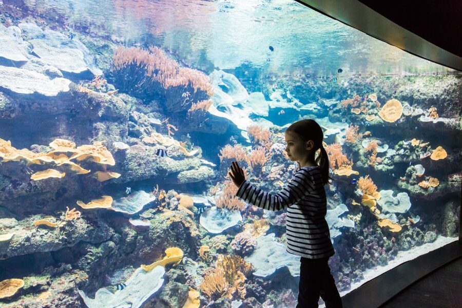 Paris: Aquarium de Paris Entrance Ticket - Jellyfish, sharks, and the educational side you can actually use