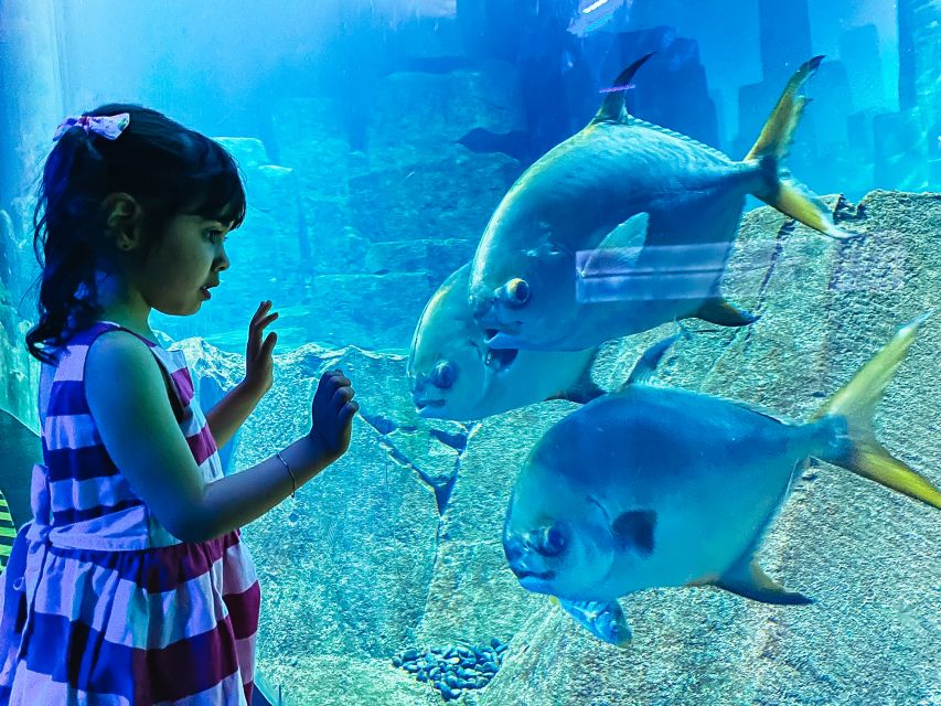 Paris: Aquarium de Paris Entrance Ticket - Cinema programs, documentaries, cartoons, and live shows