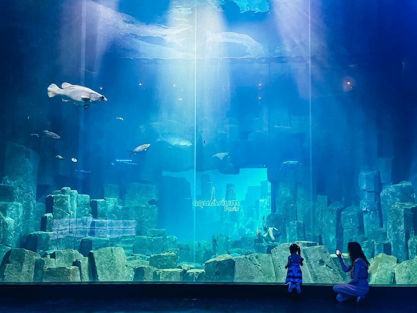 Paris: Aquarium de Paris Entrance Ticket - Entering the aquarium: skip-the-line, then go at your pace