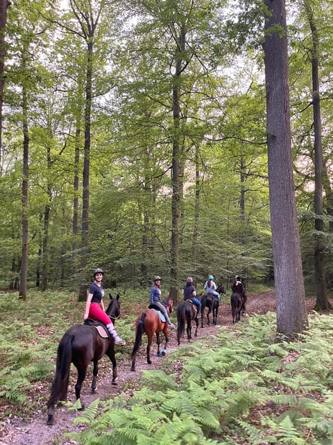 Paris: Aumont-en-Halatte Horseback Riding Tour - Price and value: $85 for a guided 2-hour forest ride