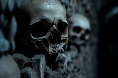 Catacombs, Audio Guide, and River Cruise Option