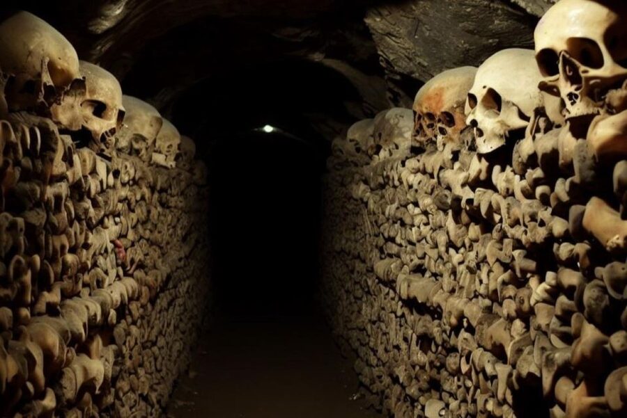 Paris: Catacombs, Audio Guide, and River Cruise Option - Price and value, and when the combo is a good deal