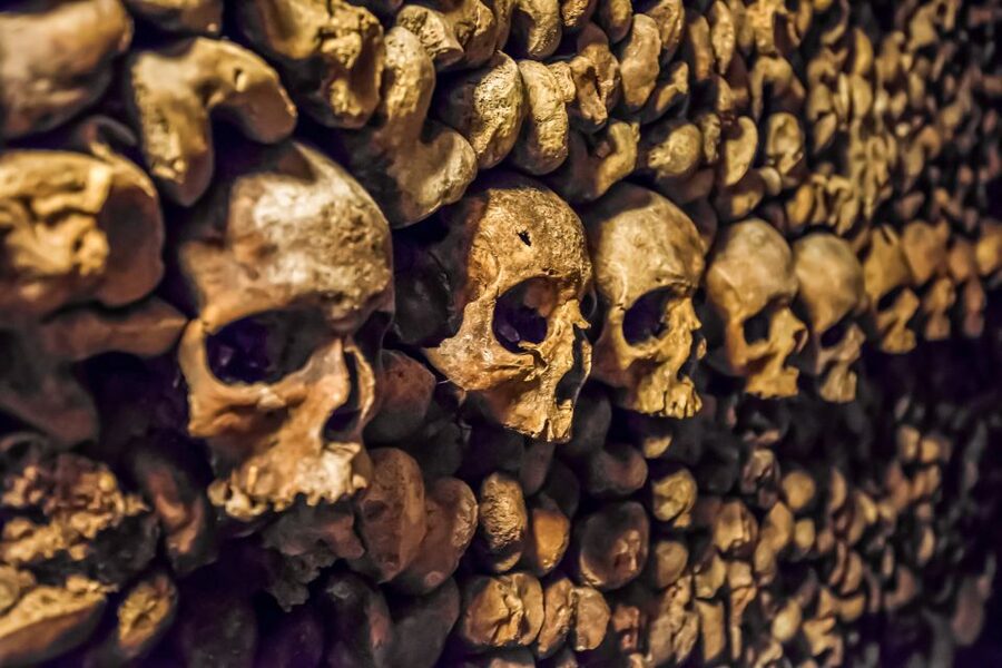 Paris: Catacombs Restricted Access Tour - Key things to know before you go
