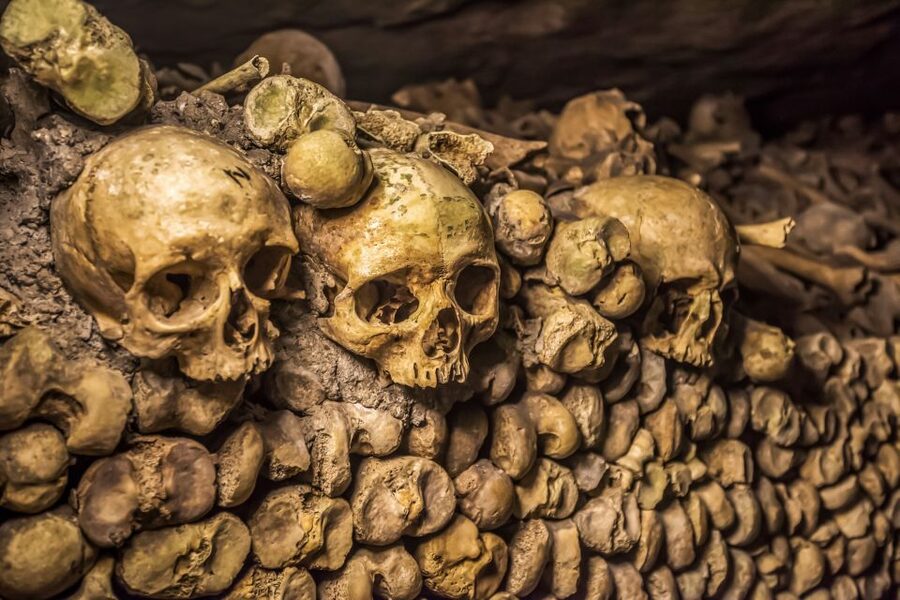 Paris: Catacombs Restricted Access Tour - Safety, comfort, and the things you should plan for