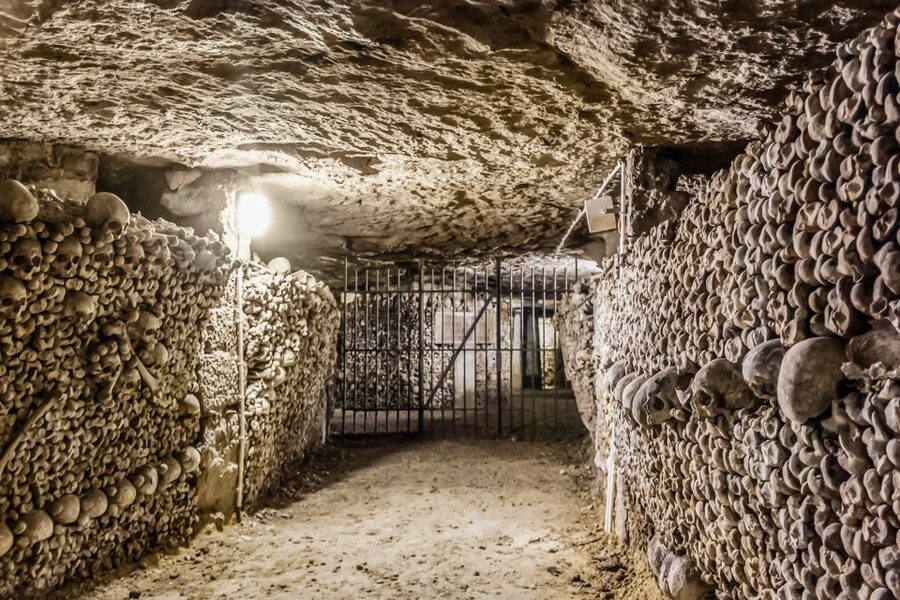 Paris: Catacombs Restricted Access Tour - Price and value: is $187 per person worth it?