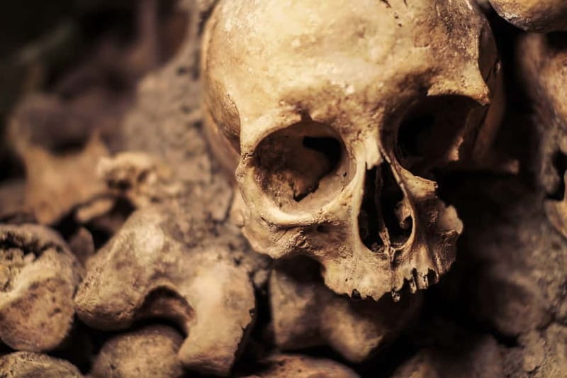 Paris: Catacombs Special Access Tour - Key takeaways before you go