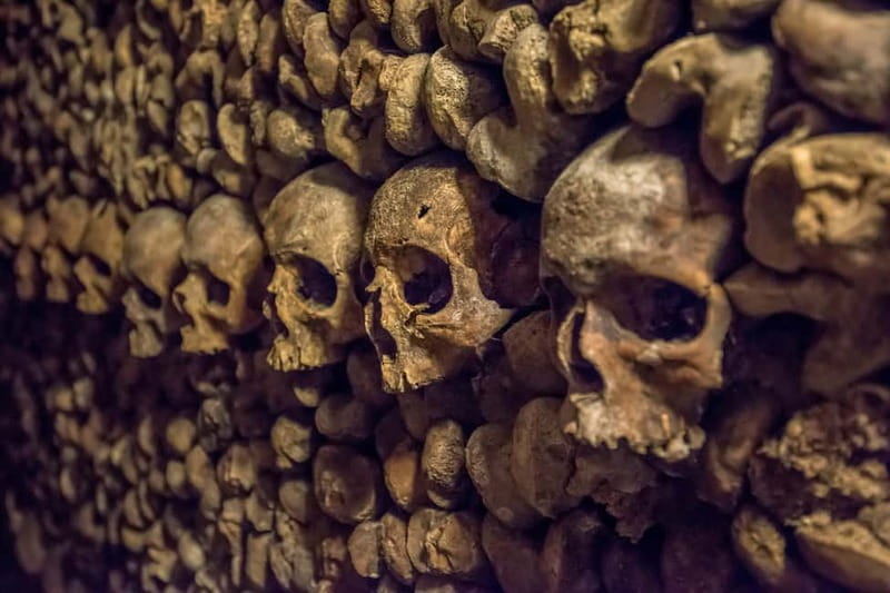 Paris: Catacombs Special Access Tour - The 2-hour underground walk: what you actually see down there
