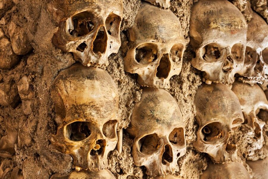 Paris: Catacombs Ticket and Seine River Cruise - Key points before you go