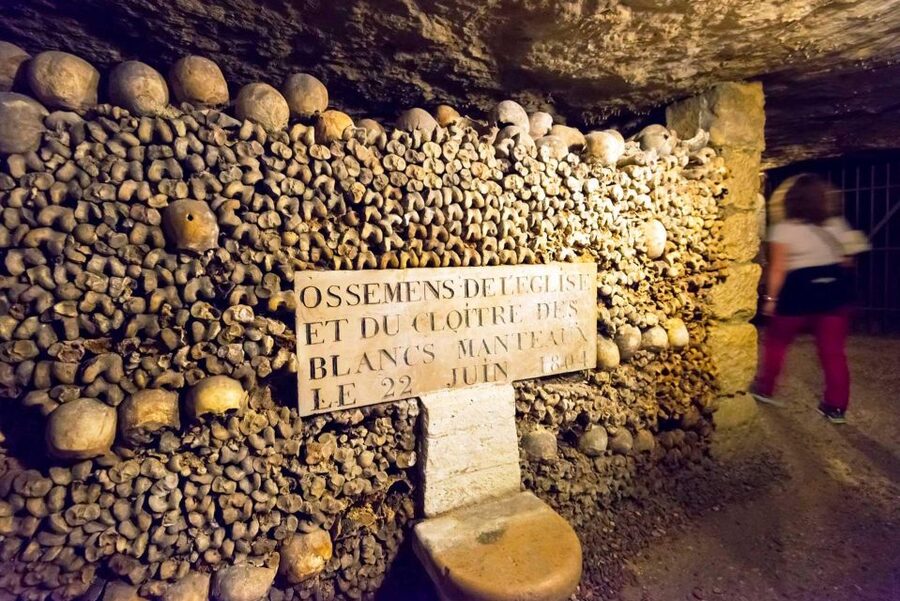 Paris: Catacombs Ticket and Seine River Cruise - How the cruise feels on Bateaux Parisiens: landmarks, people, and the best side