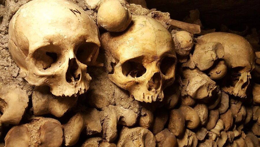 Paris: Catacombs Ticket and Seine River Cruise - Price and value: when this bundle is worth $104 per person