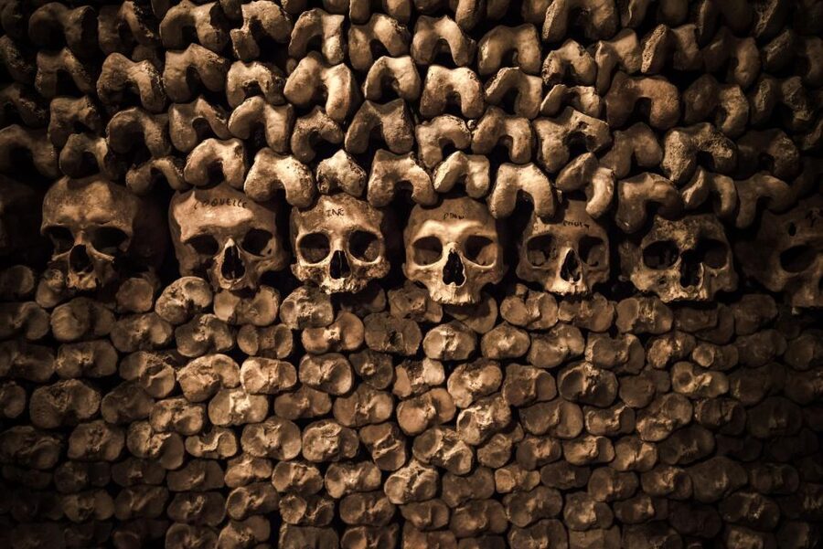 Paris: Catacombs Ticket and Seine River Cruise - Booking details that can save you at the door