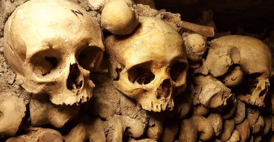 Paris: Catacombs Ticket and Seine River Cruise - Audio guides that actually help you follow the story