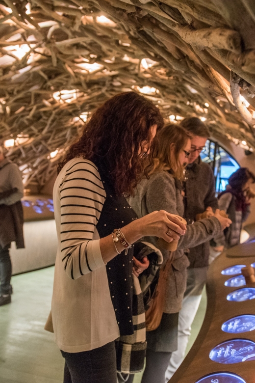 Paris: French Wine Experience in Parisian Cellar - What the audio tour teaches you, from grape to bottle